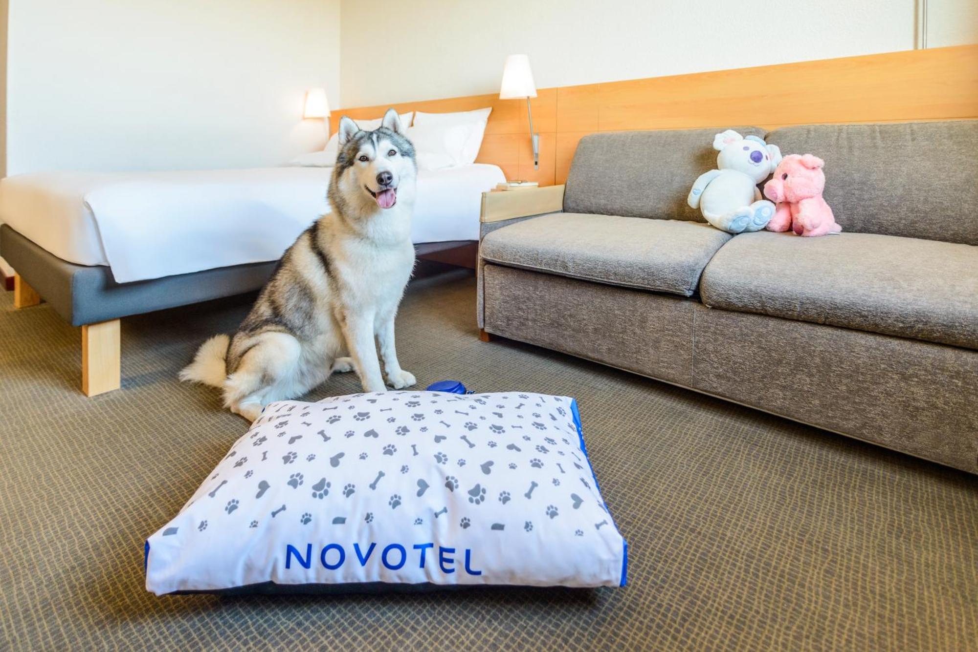 Novotel Torino Corso Giulio Cesare Luaran gambar